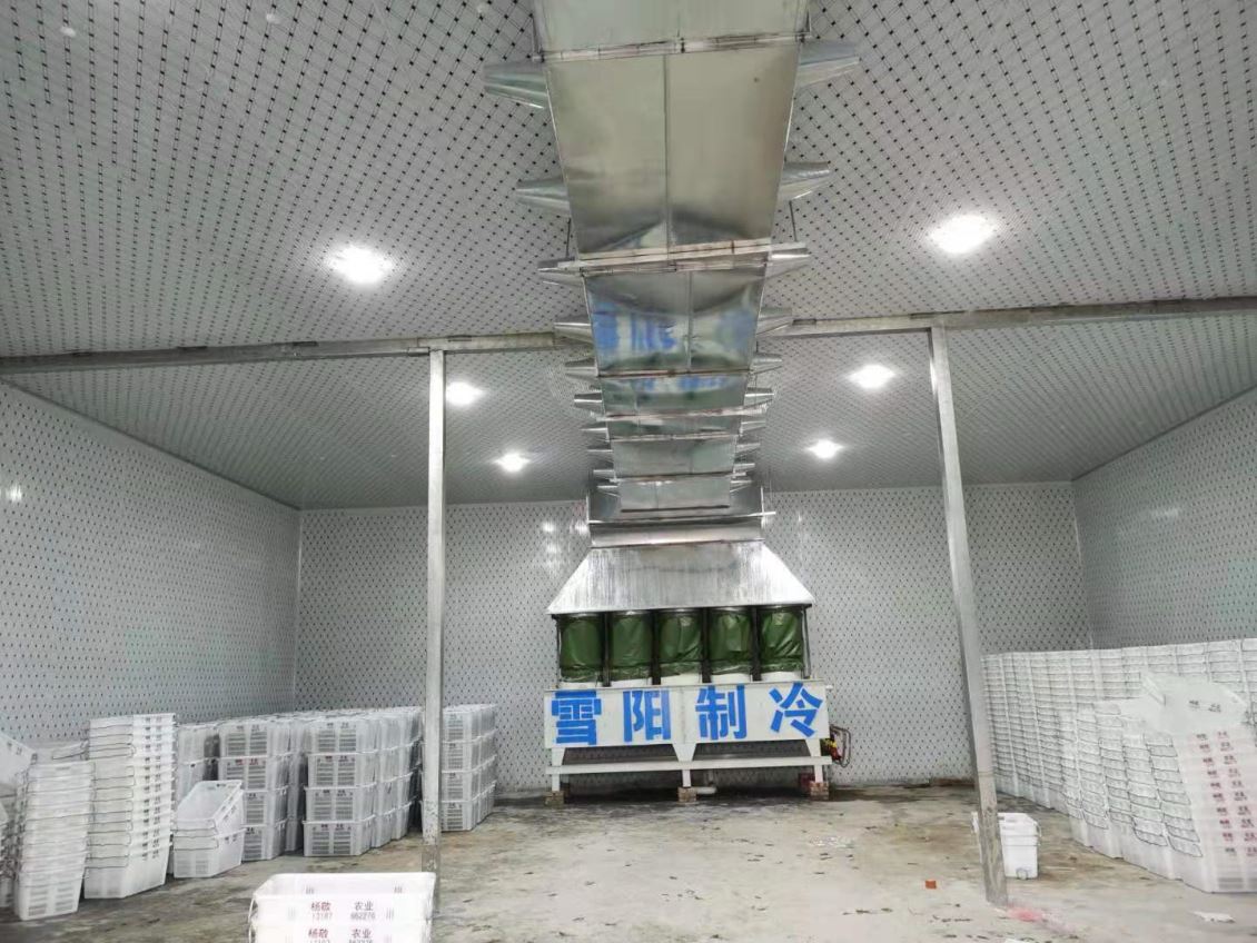 楚雄蔬菜冷库能带来哪些经济效益